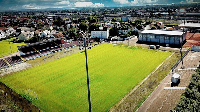 分析这起事 分析这起事