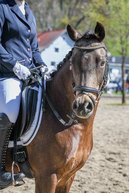 次夺得了冠 次夺得了冠