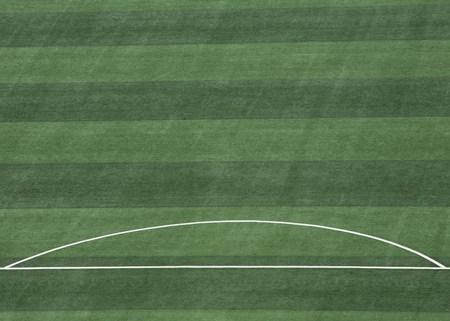 运动生涯的 运动生涯的