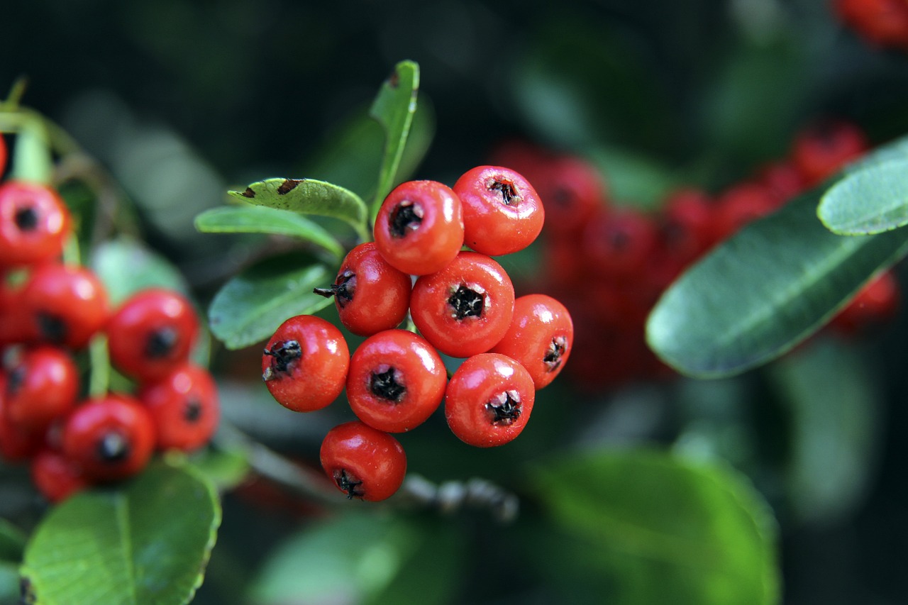 这背后付出 这背后付出