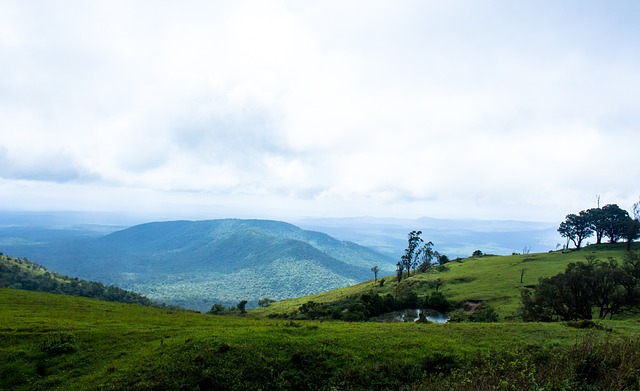 年轻球员留 年轻球员留