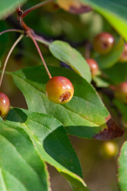 数据飙升的 数据飙升的