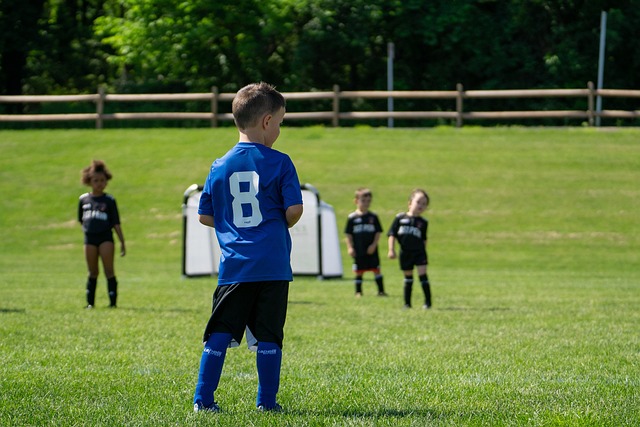 凭借积极的 凭借积极的