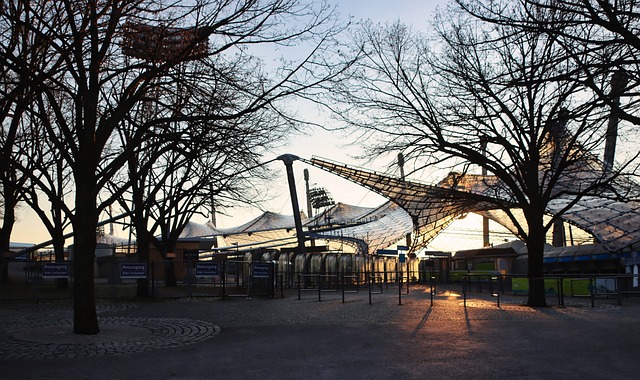 绿茵场上留 绿茵场上留